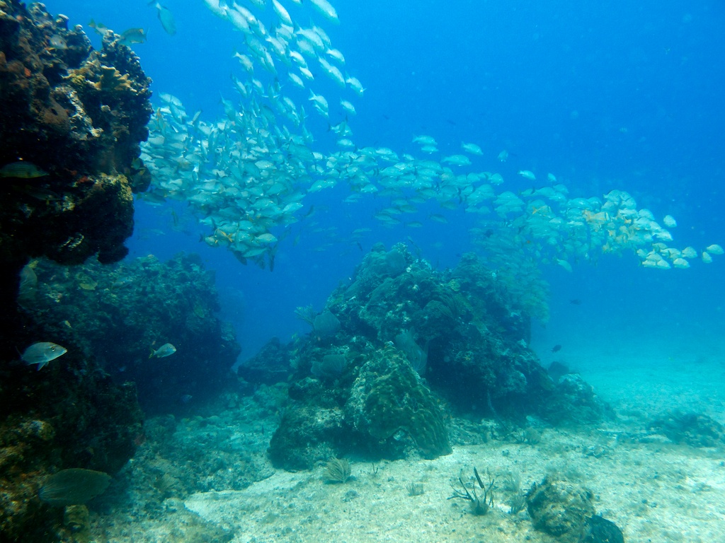 Manchones Reef 