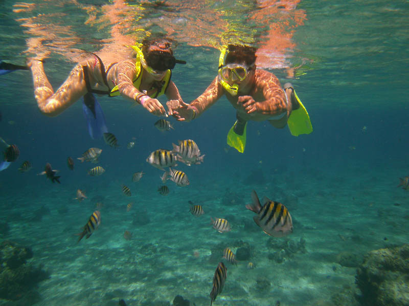 Snorkeling in Isla Mujeres 